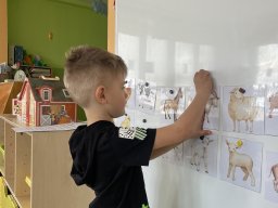 Houbička - Jaro je tu