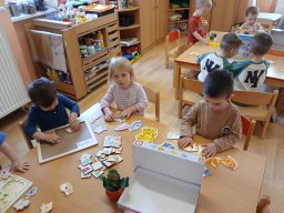 Domácí zvířátka a mláďátka