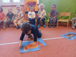 Domácí zvířátka a mláďátka