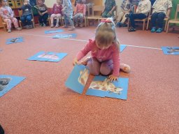 Domácí zvířátka a mláďátka