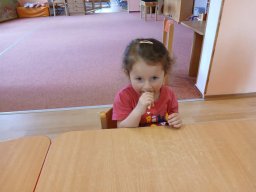 Loučení v Kopretince