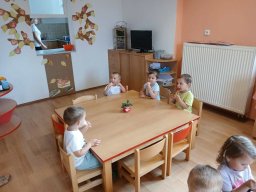 Loučení v Kopretince