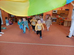 Na paloučku v jetelíčku