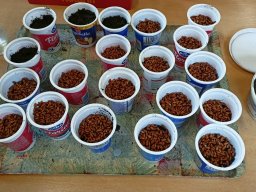 Přípravy na Velikonoce