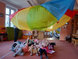 Ptáčci poslové jara