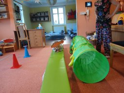 Na zahrádce pod jabloní, motýlek tam včelku honí