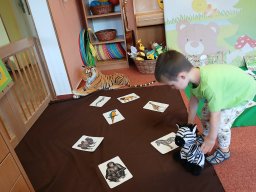 V zoologické zahradě, nehlaďte lva na bradě