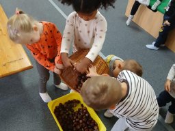 Cupy, dupy u chalupy