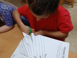 Svatomartinský týden ve Sluníčku