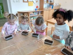 JARO U NÁS NA DVOREČKU