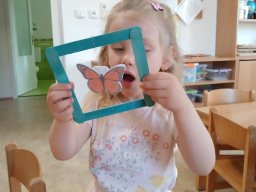 CO SE DĚJE V TRÁVĚ A U RYBNÍKA