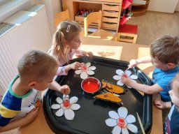 CO SE DĚJE V TRÁVĚ A U RYBNÍKA