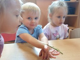 Babí léto v Kopretince