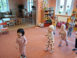 Já a moji kamarádi