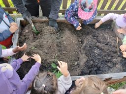 Jak jsme sklízeli brambory