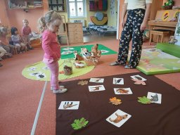 Jak veverka Čiperka uspávala zvířátka