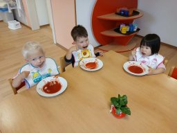 Vítejte v Kopretince