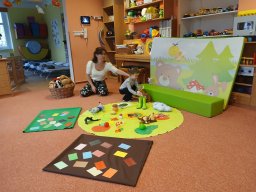 Vítr otrhal stromy do hola