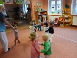 Vítr otrhal stromy do hola