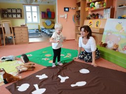 Vítr otrhal stromy do hola