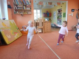 Vítr otrhal stromy do hola