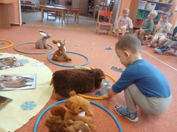 Mrazíci a zvířátka