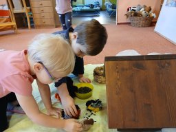 Letí, letí vrabeček, v zobáčku má drobeček